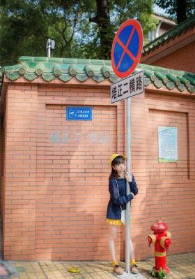 白色橄榄树电视剧完整版免费观看